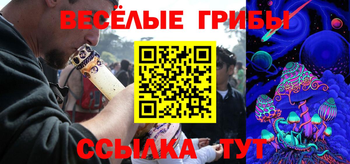Псилоцибиновые грибы Psilocybine cubensis  Галлюциногенные грибы Psilocybe  Вход с VPN  Сегежа 