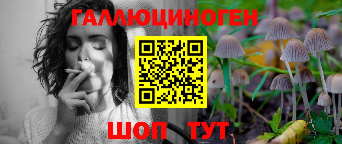 Псилоцибиновые грибы прущие грибы Сегежа