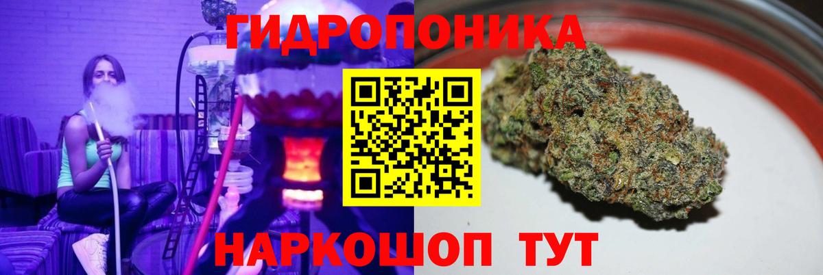 Марихуана планчик  Вход с VPN  МАРИХУАНА план  Шишки марихуана OG Kush  Сегежа  Шишки марихуана конопля 